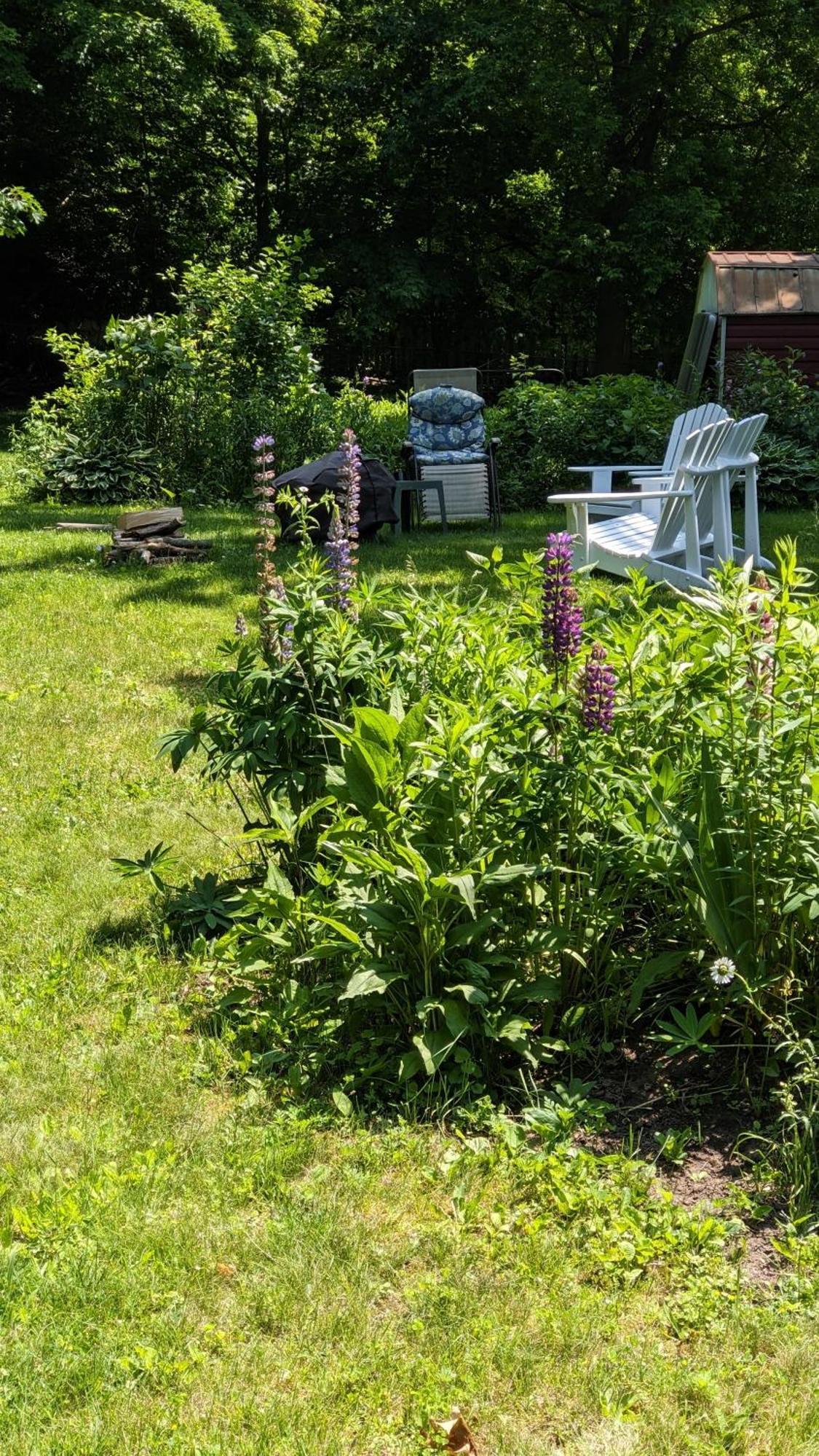 The Captain'S House Heritage Bed & Breakfast Midland Extérieur photo